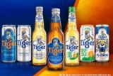 Bảng giá bia Tiger Tết 2025 chính hãng mới nhất, khuyến mãi bia Tiger Xuân Ất Tỵ