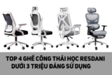 List 4 ghế công thái học Resdani giá rẻ từ 1 – 3 triệu đồng